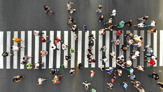 Zebra crossing