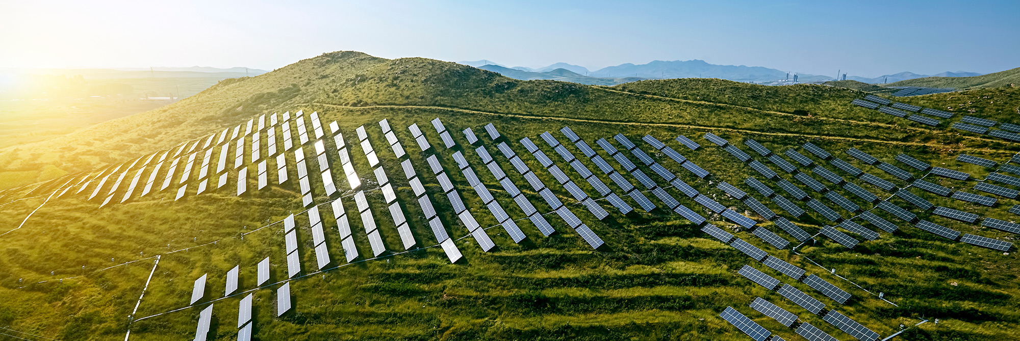 A field with solar panels