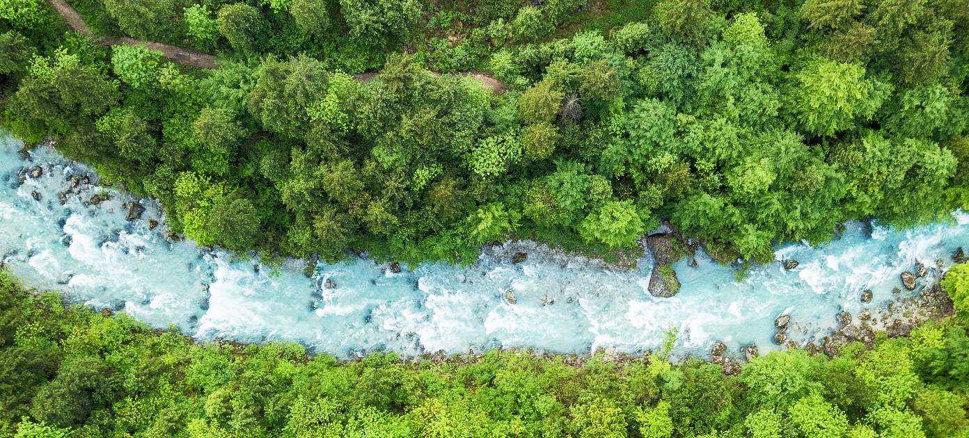 birds eye view of river in a forest