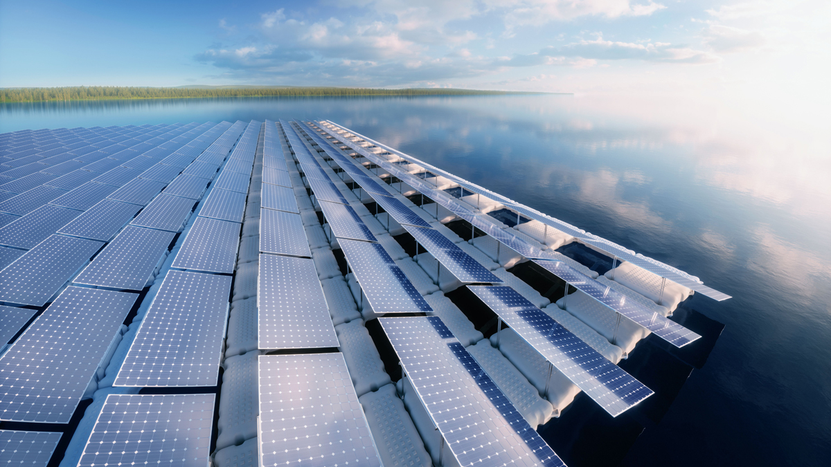 A series of solar panels