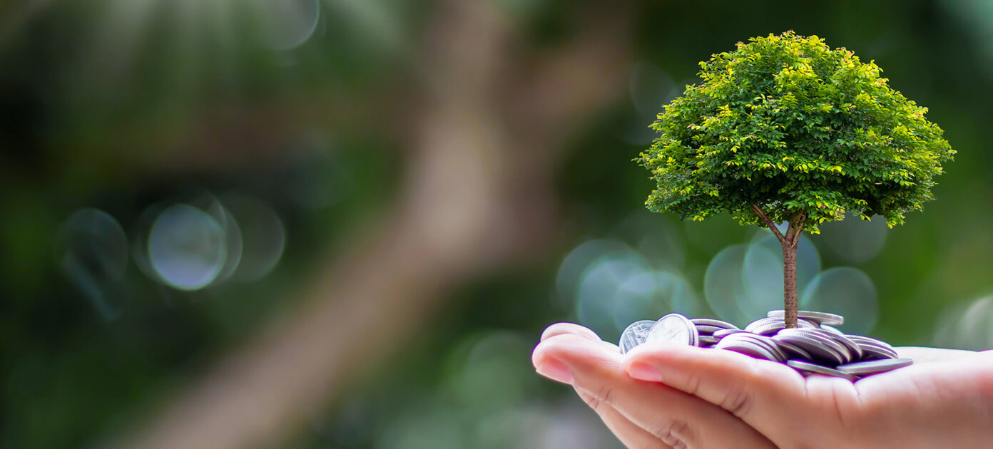 Tree in cupped hands