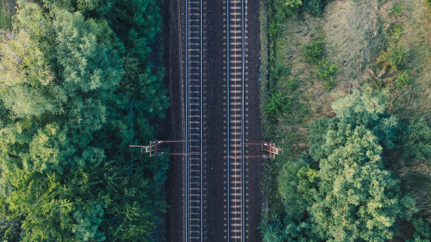 Two railway tracks through the forest.