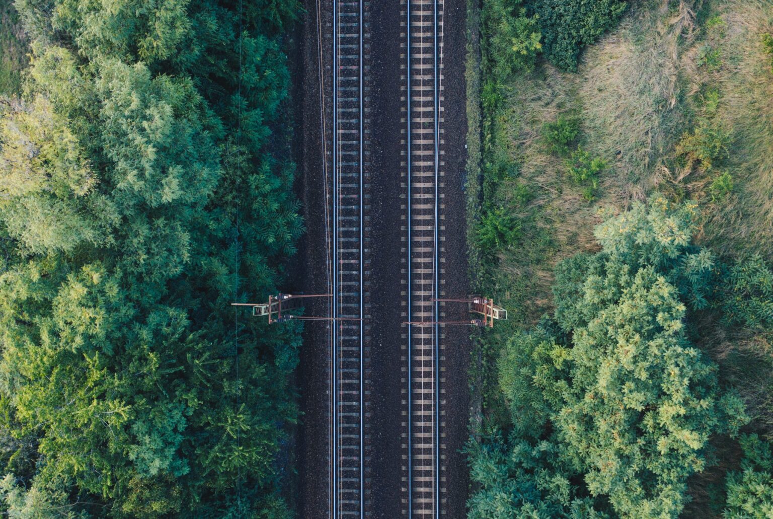 Two railway tracks through the forest.