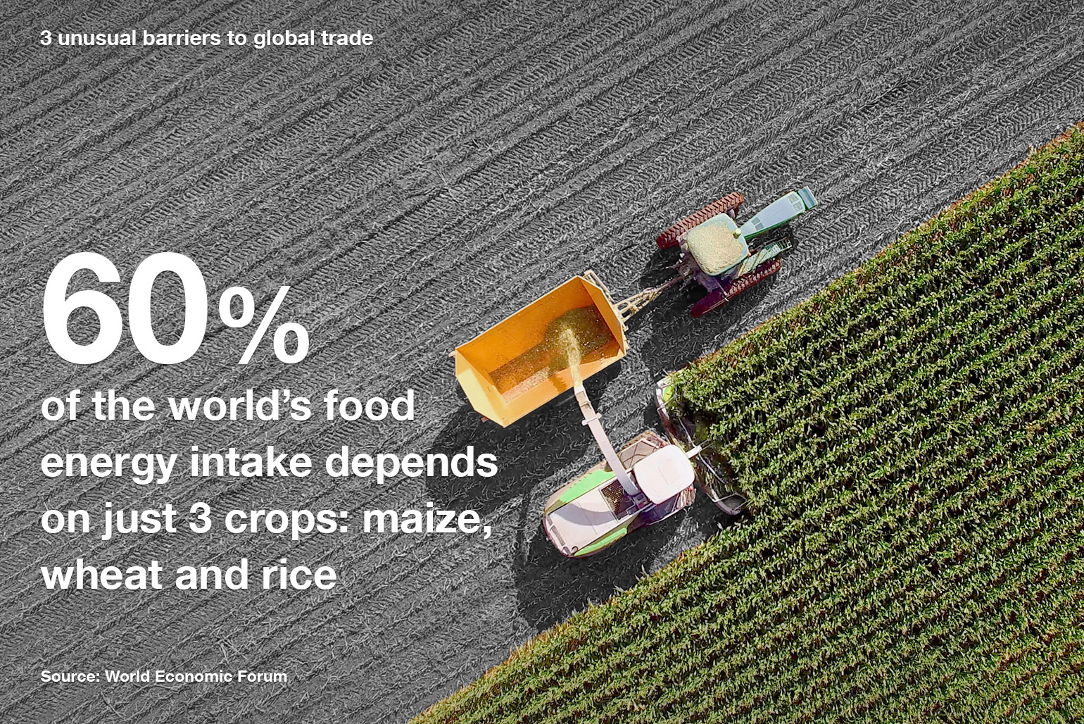 60% of the world's food energy intake depends on 3 crops