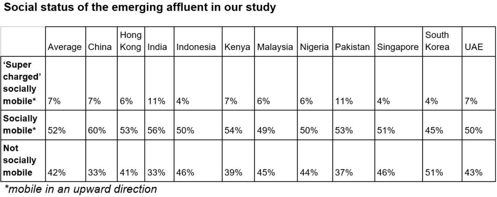 Image of a table showing social status of the emerging affluent in our study