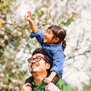 Fk latest financial reports pintile