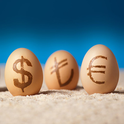 3 eggs with symbol of Dollar, Turkish Lira, and Euro.