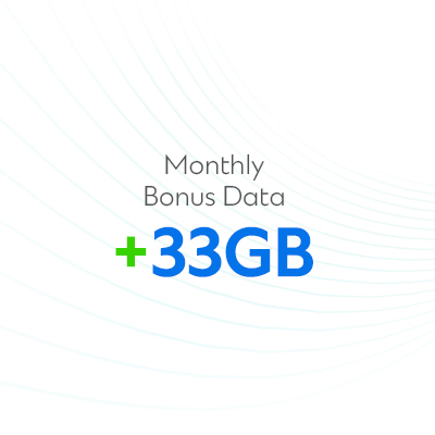 Monthly Bonus Data 33GB