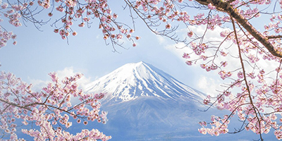 Flash Offer 40% discount for travelling to Japan