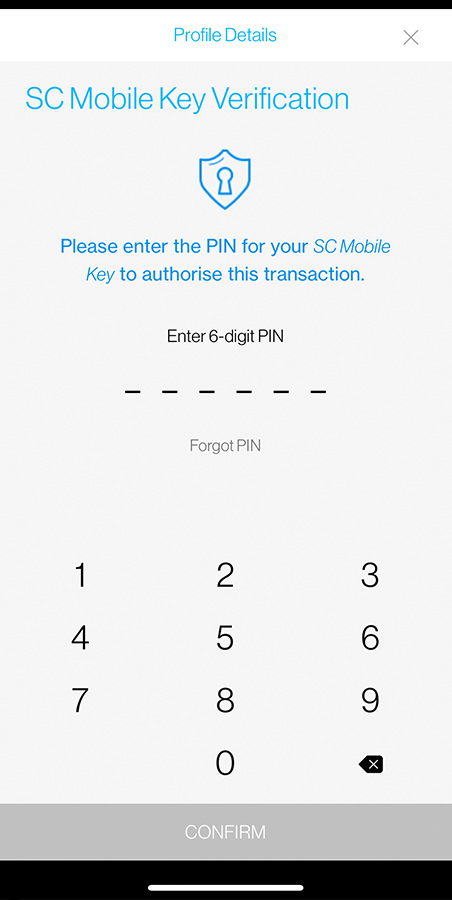 Enter the 6-digit PIN to proceed.