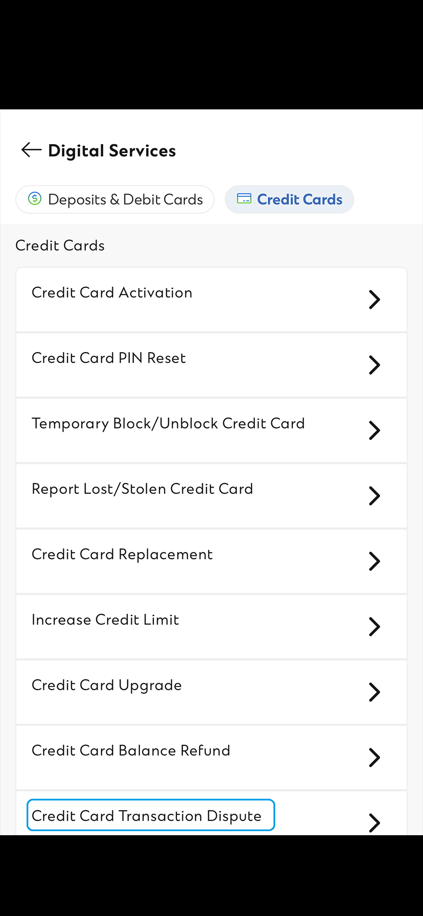 Credit Card Initiate Dispute Request Step 2