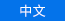 中文
