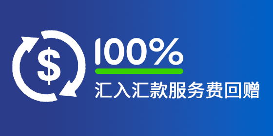 <strong>100% 汇入汇款服务费回赠</strong>