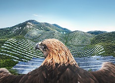 Sustainable Finance