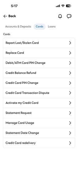 In report stolen card step