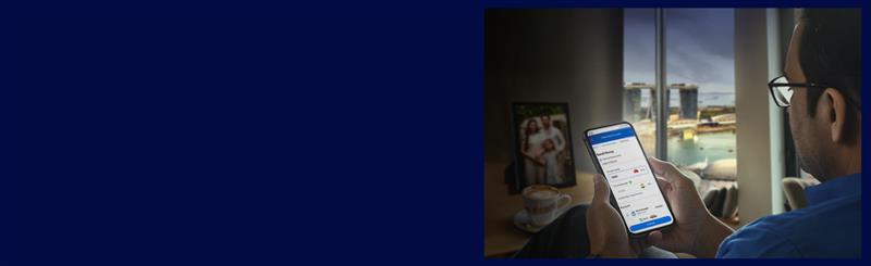 In sc remittance desktop image