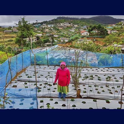 Lk enterprise for empowermentadfsdfr