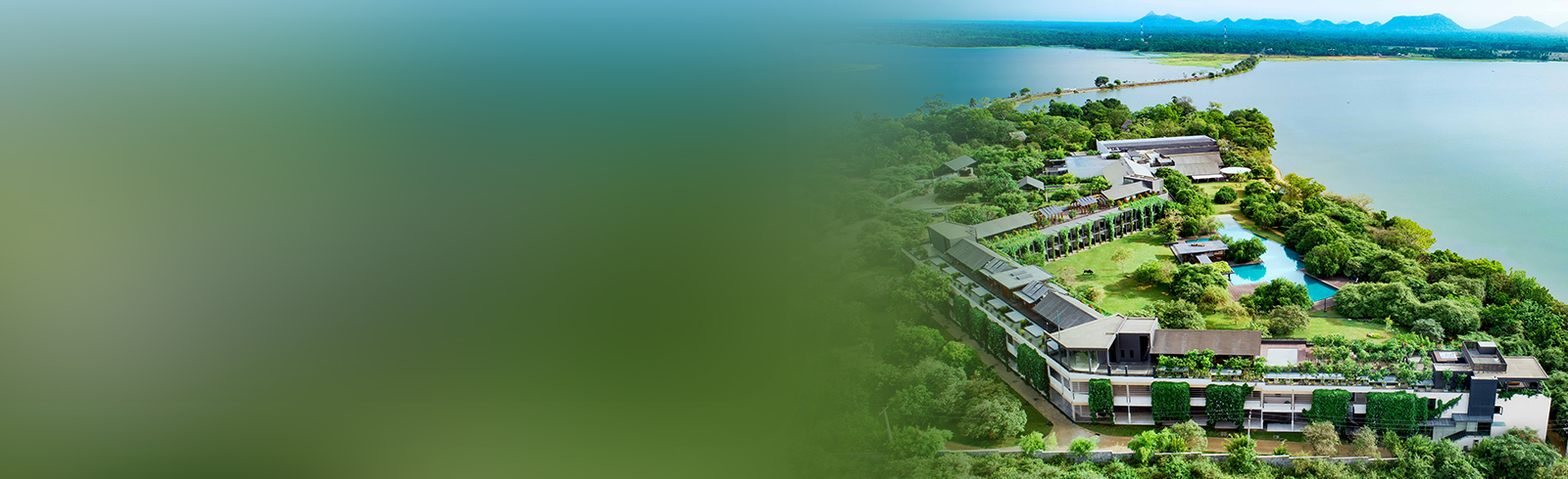 Lk hilton web banner