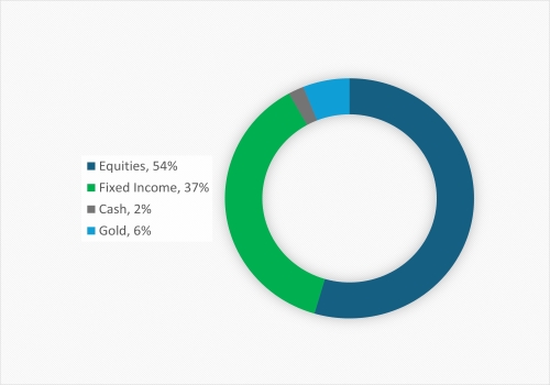 ng-signature-cio-balanced-fund