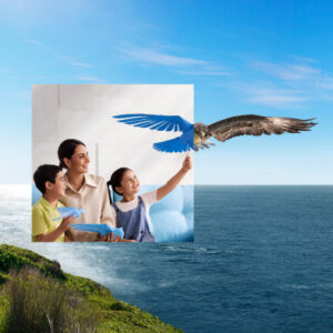 Pk brand campaign global eagle desktop web pintile