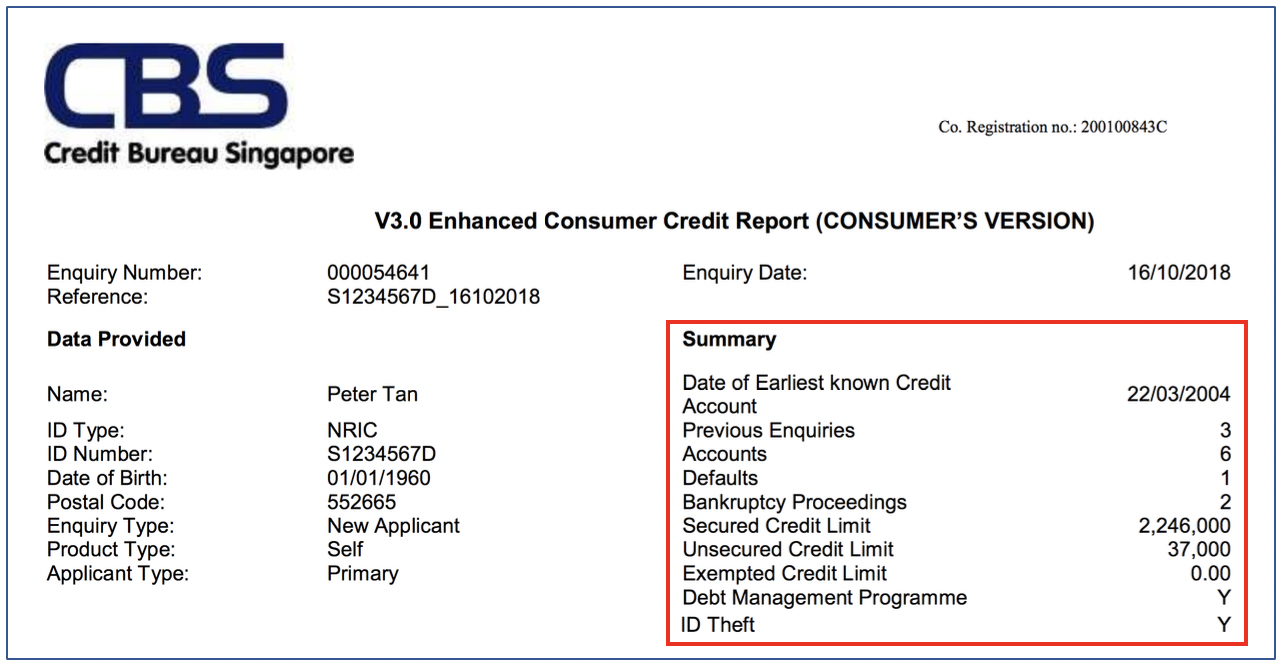 Summary of credit report