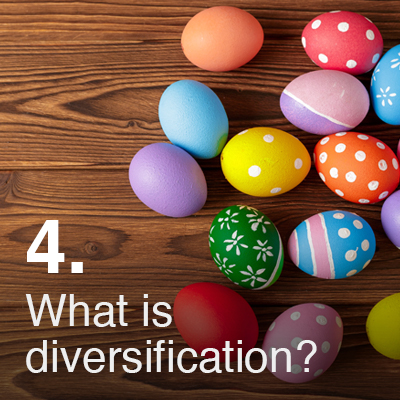 What is diversification