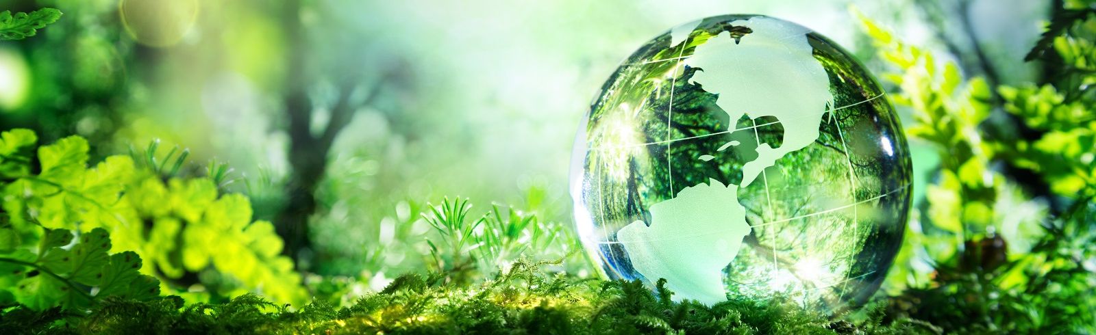 Green bonds globe