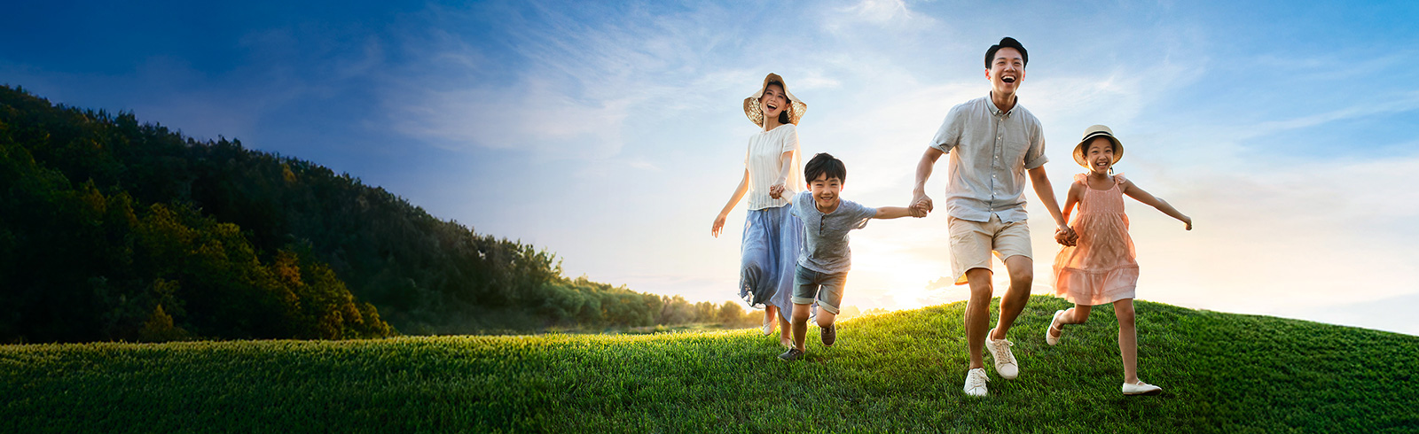 Sg allianz insurance desktop