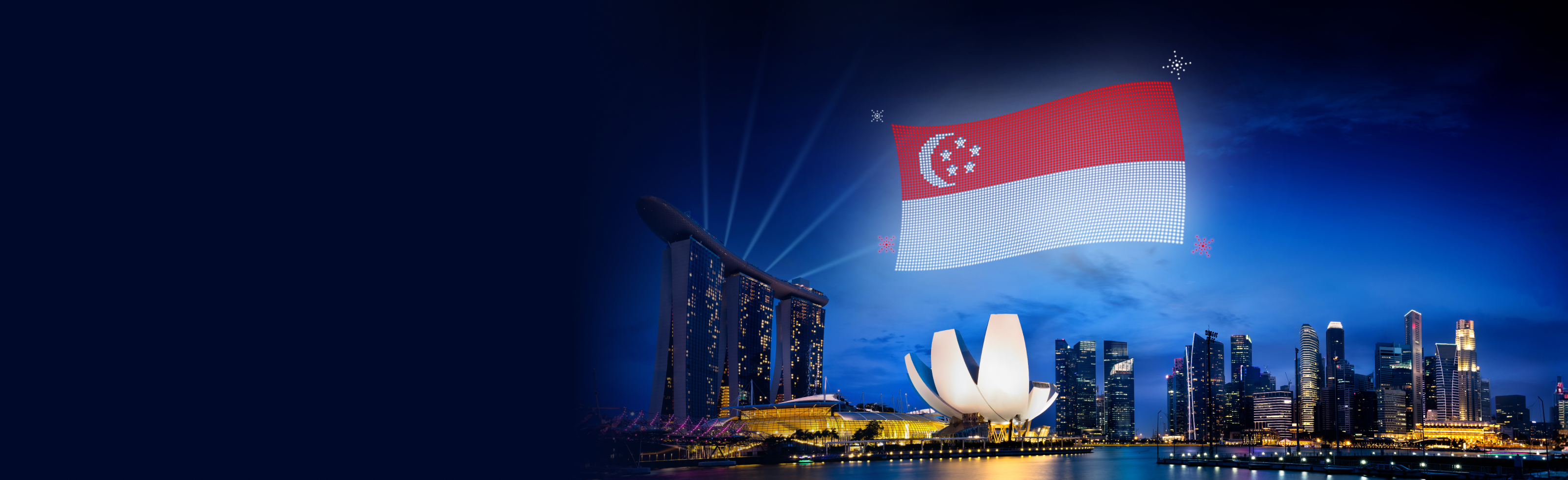 Sg national day promo banner desktop xpx