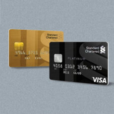 Visa Gold and Platinum Debit Card