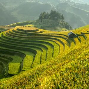 Credit Cards ibmb installment