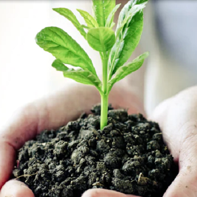 渣打銀行優先理財 全球銀行金融服務