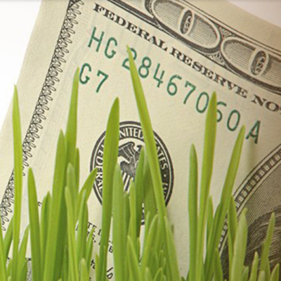 Grass, Plant, Money