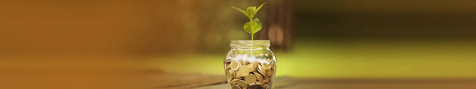 Jar, Money, Coin