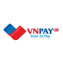 Vn vnpay logo 
