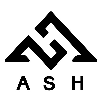 Vn ash logo